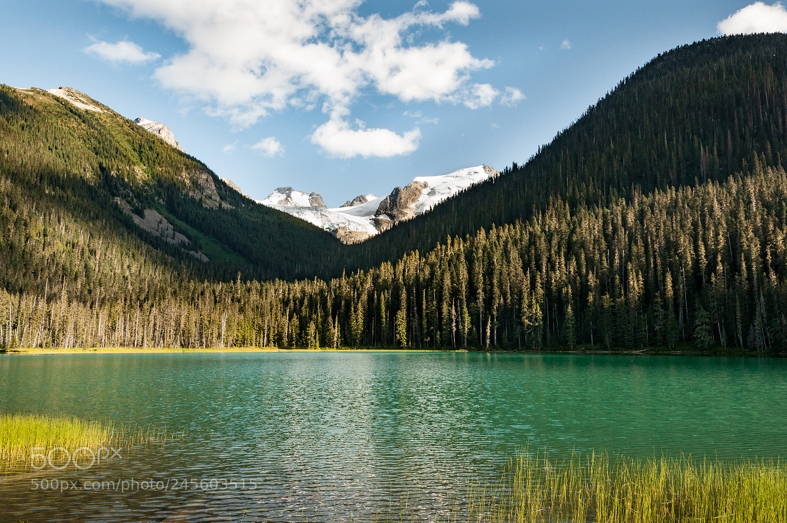 Nikon D90 sample photo. The lake photography