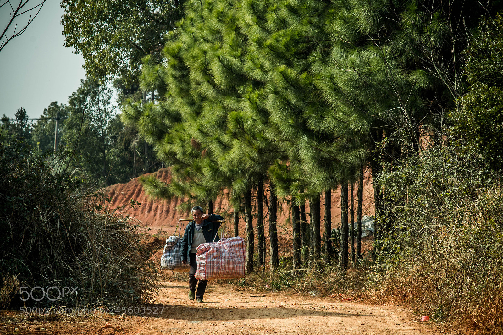 Nikon D610 sample photo. Untitled photography
