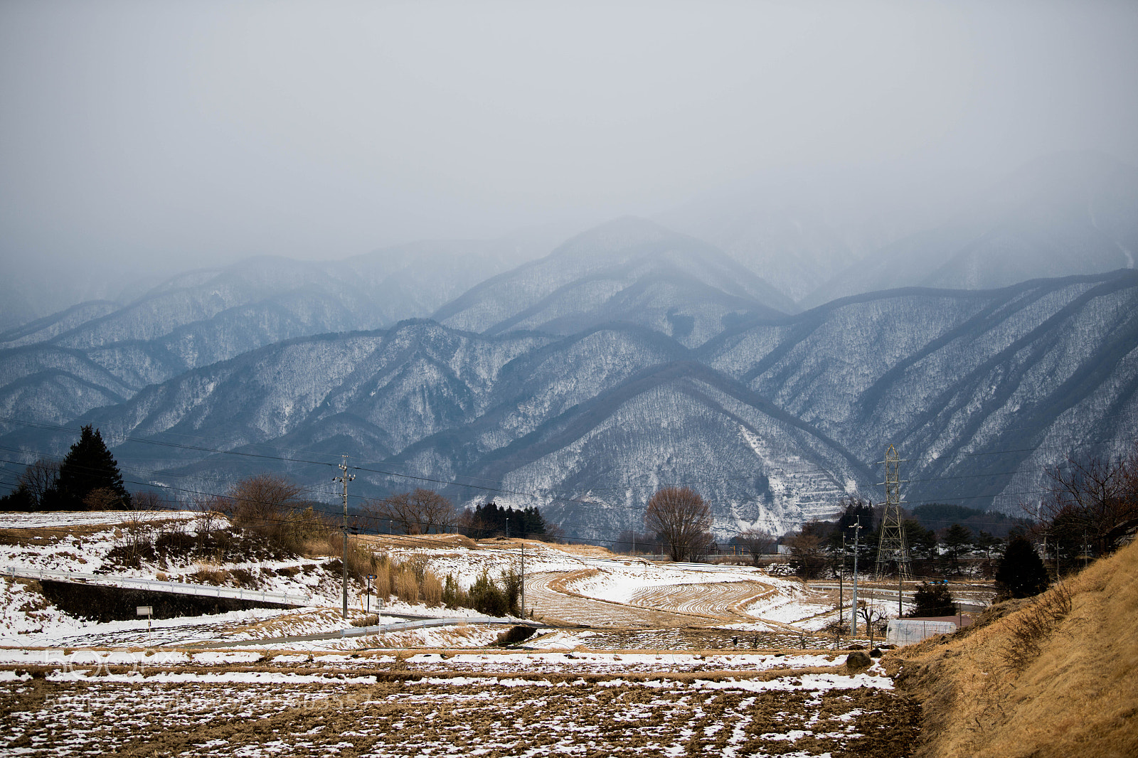 Nikon D850 sample photo. Home photography