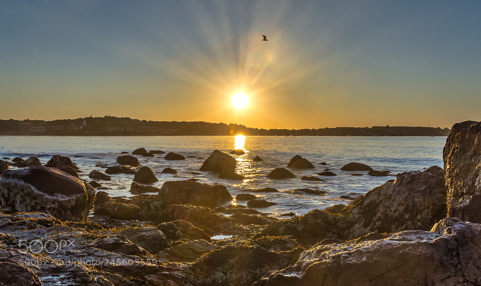Nikon D7200 sample photo. Red rock sunrise photography