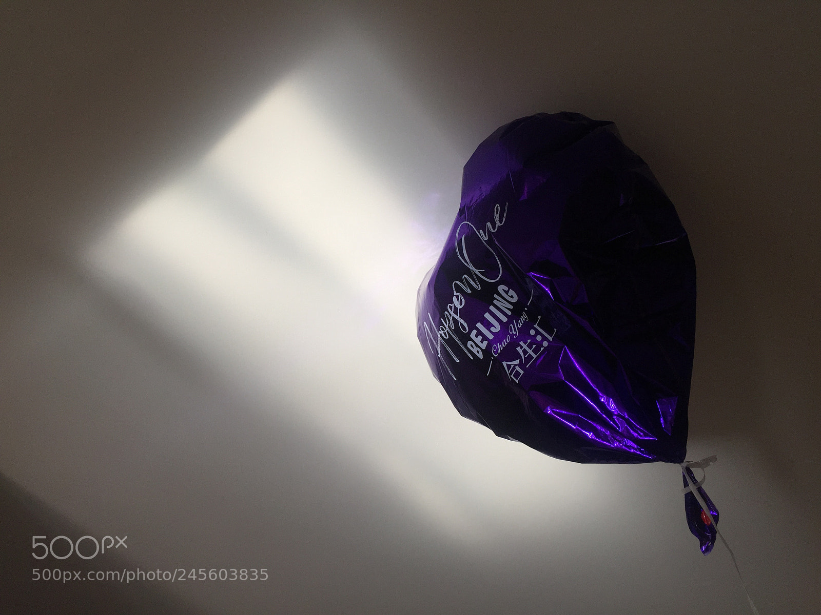 Apple iPhone 6 sample photo. 时间治愈的是，愿意自渡之人 photography