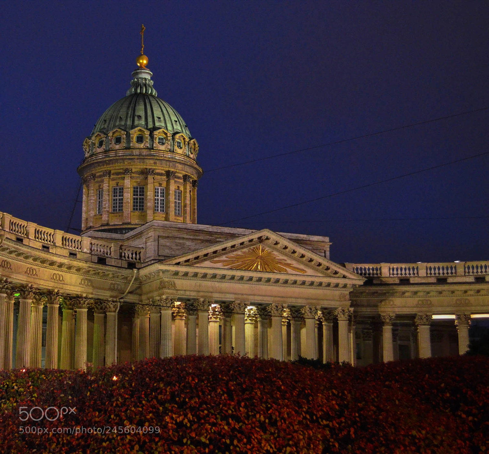 Nikon D5100 sample photo. Осенний Питер photography