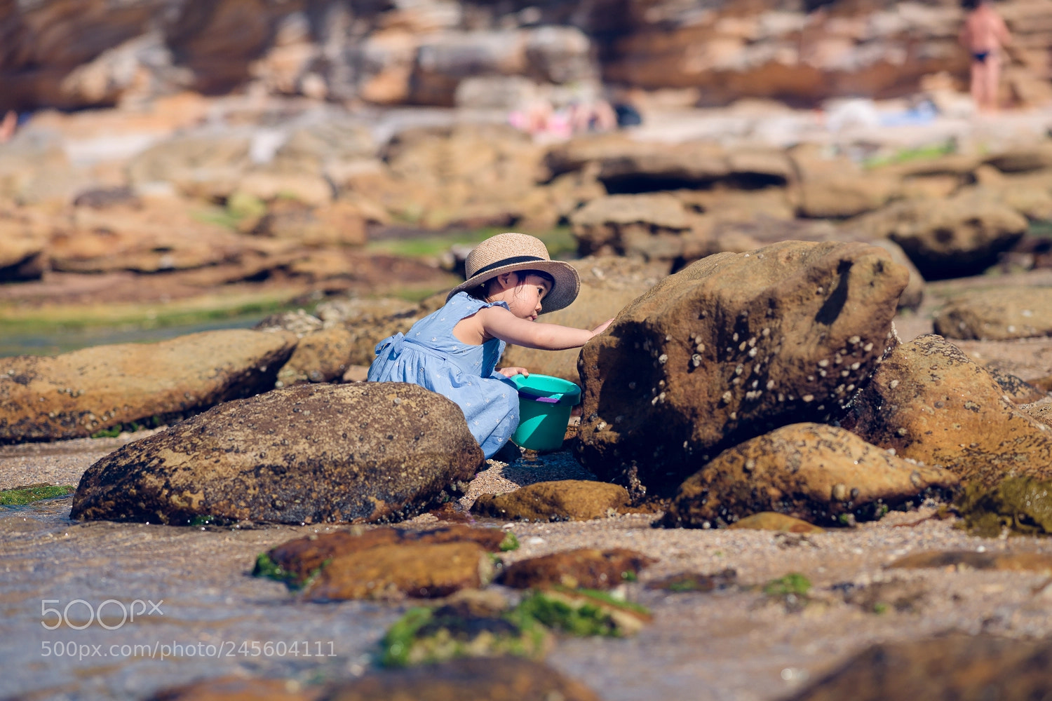 Nikon D850 sample photo. Beachside photography