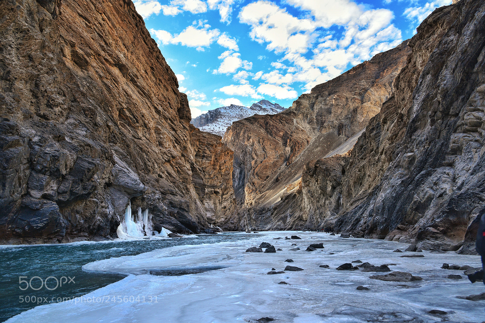 Nikon D810 sample photo. Frozen heaven photography