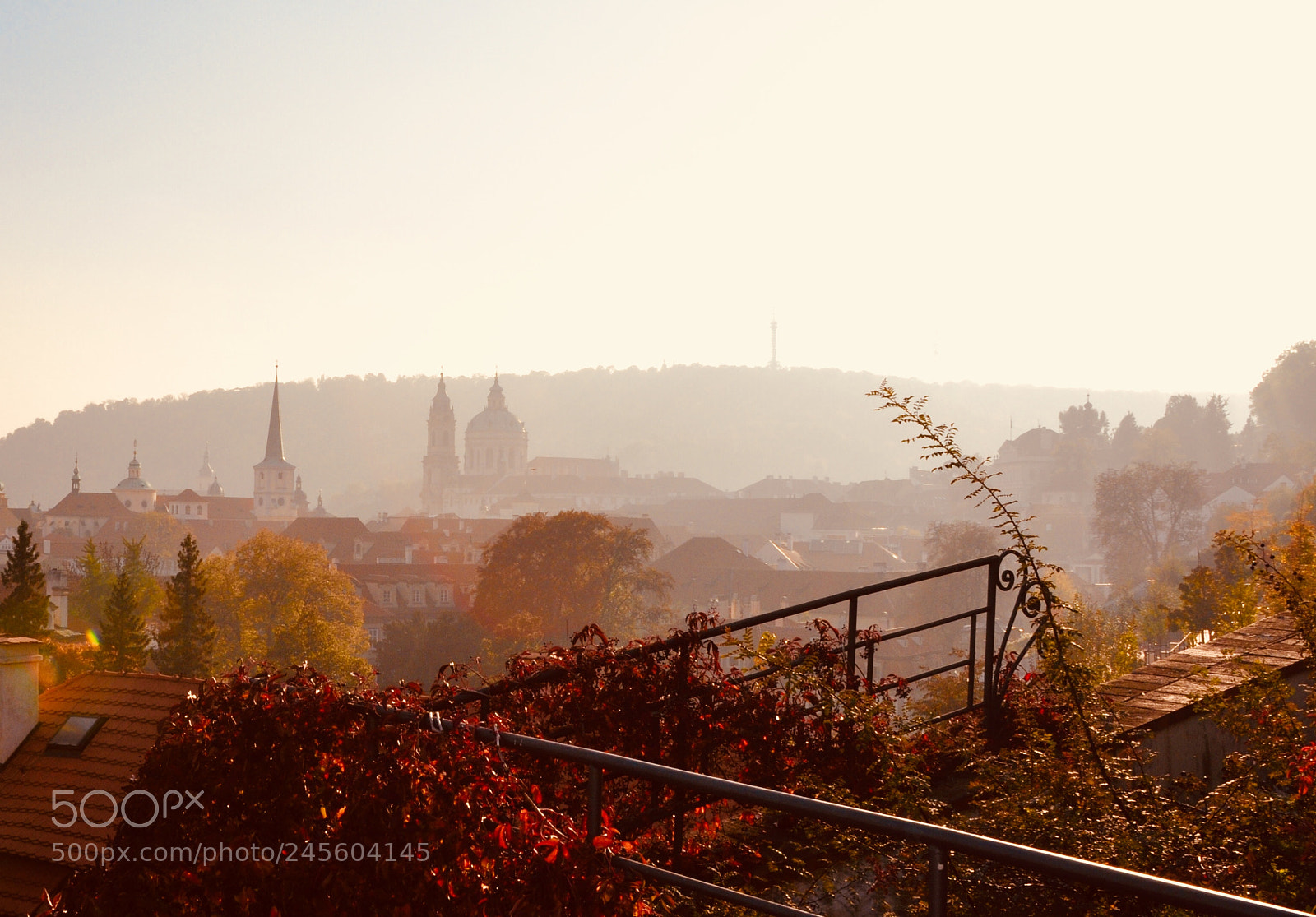Nikon D90 sample photo. Praag in the early photography