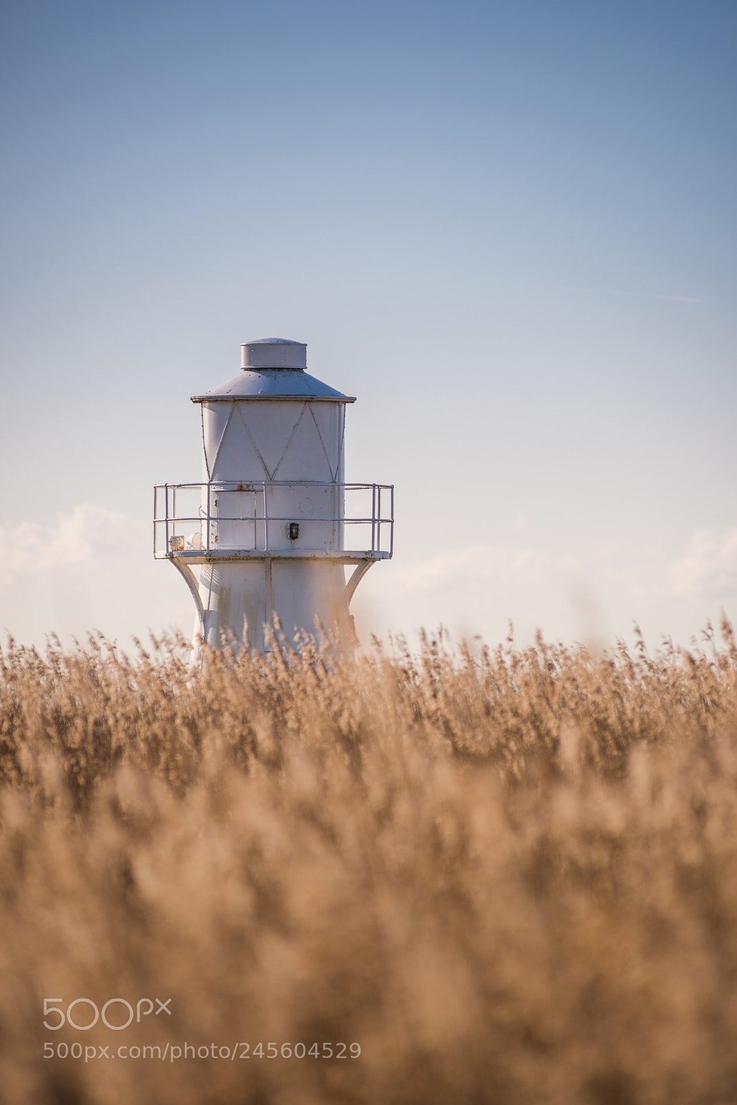 Nikon D810 sample photo. East usk lighthouse photography