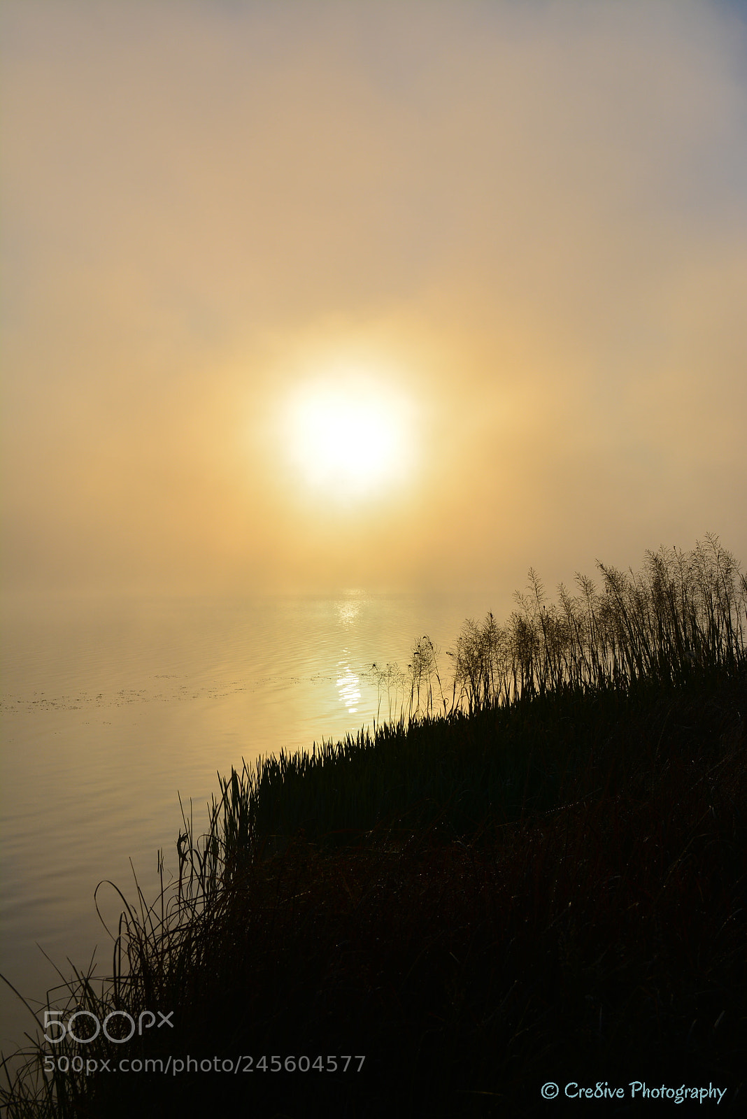 Nikon D5200 sample photo. Foggy sunrise in serbia photography