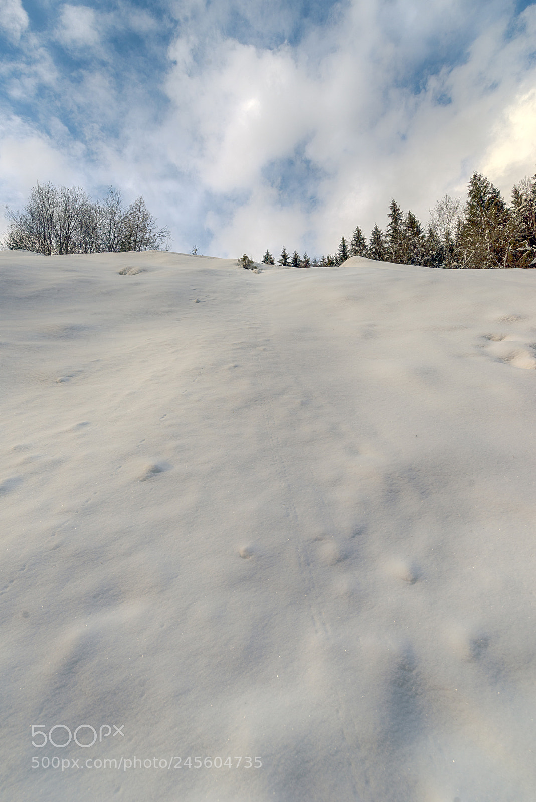 Nikon D610 sample photo. The white path photography