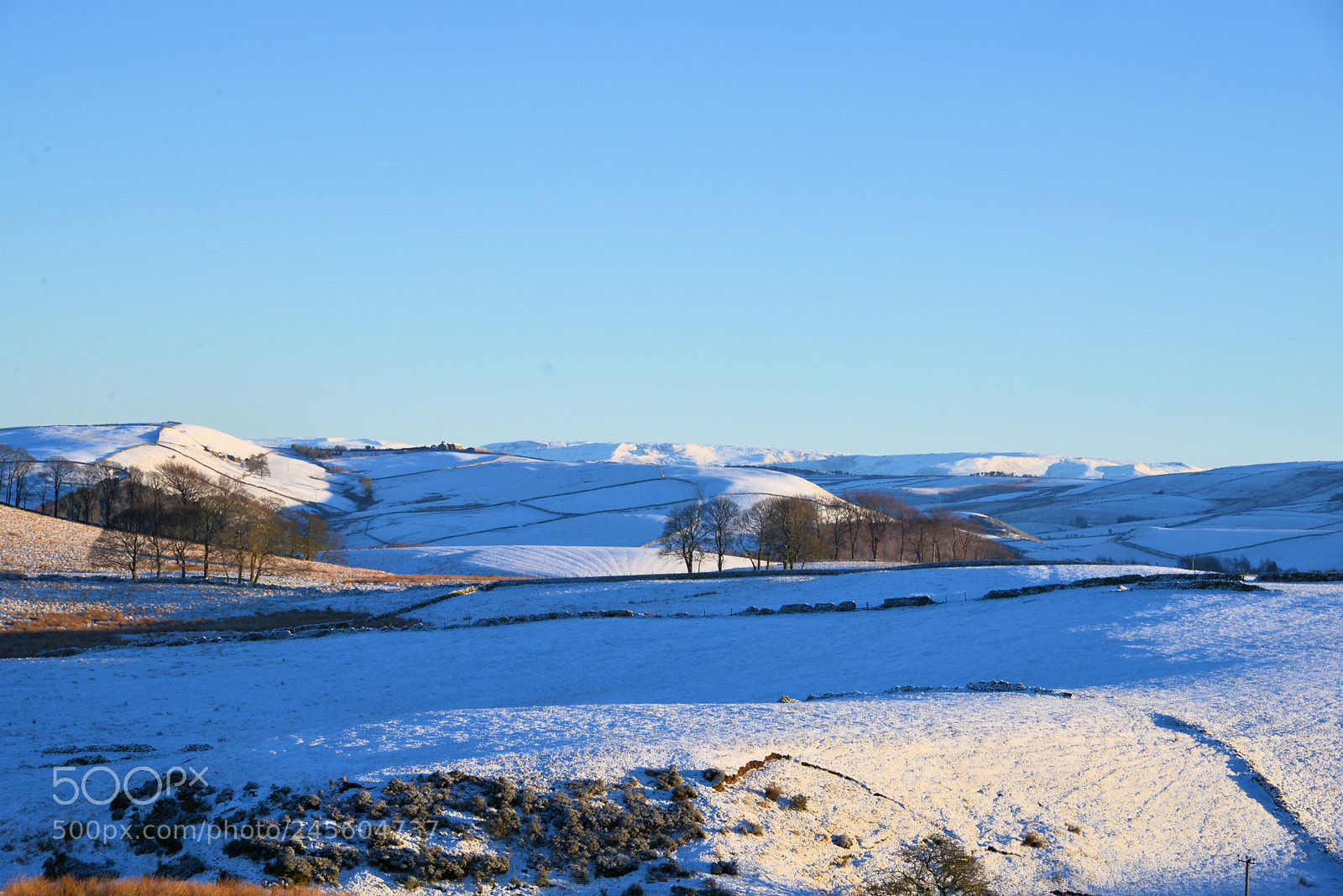 Nikon D610 sample photo. Winter scene. photography