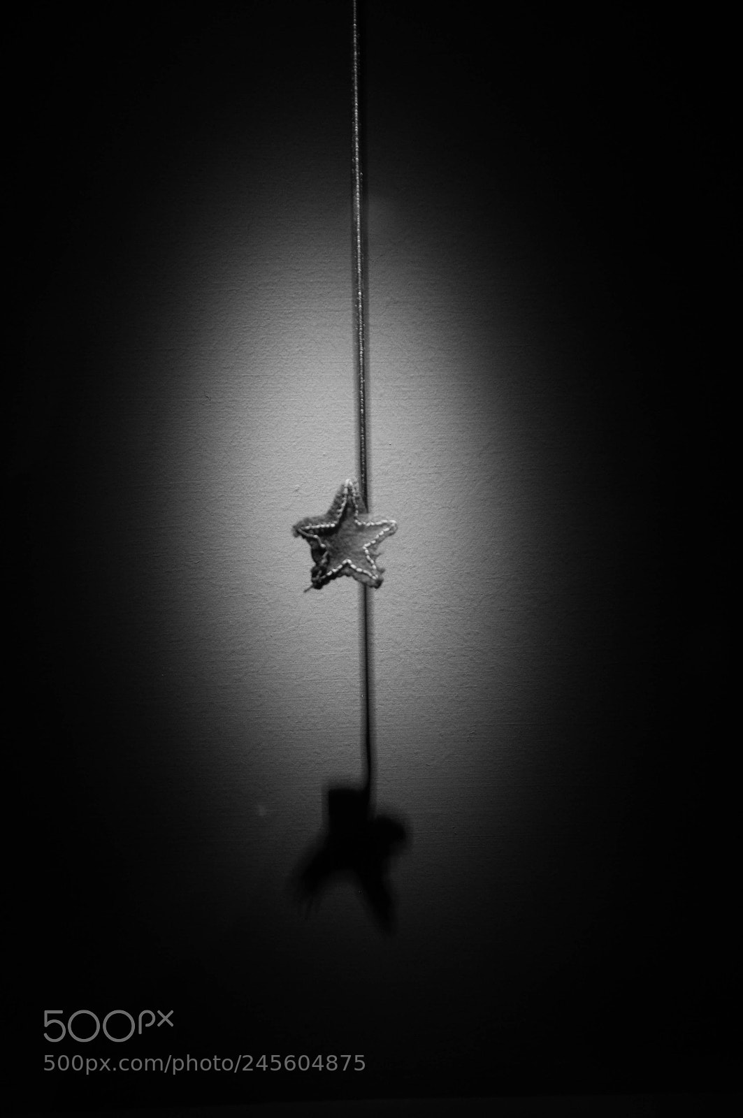 Nikon D90 sample photo. Star memories photography