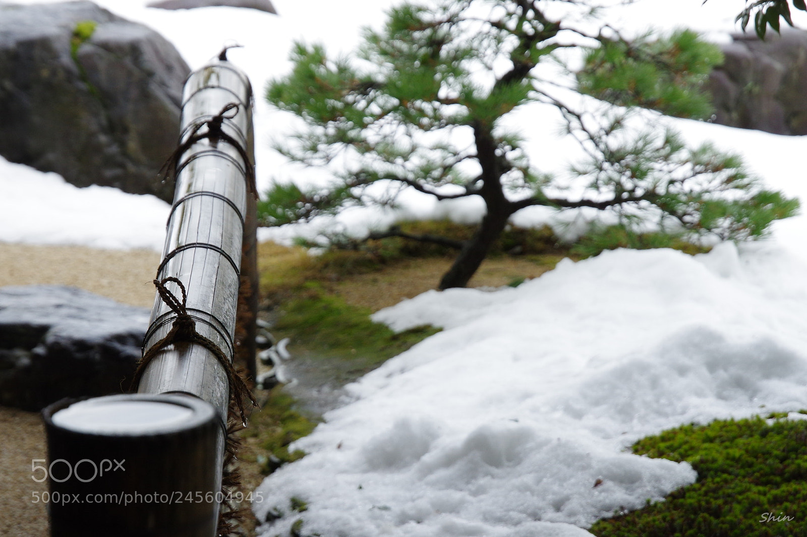 Pentax K-3 II sample photo. Japanese garden photography