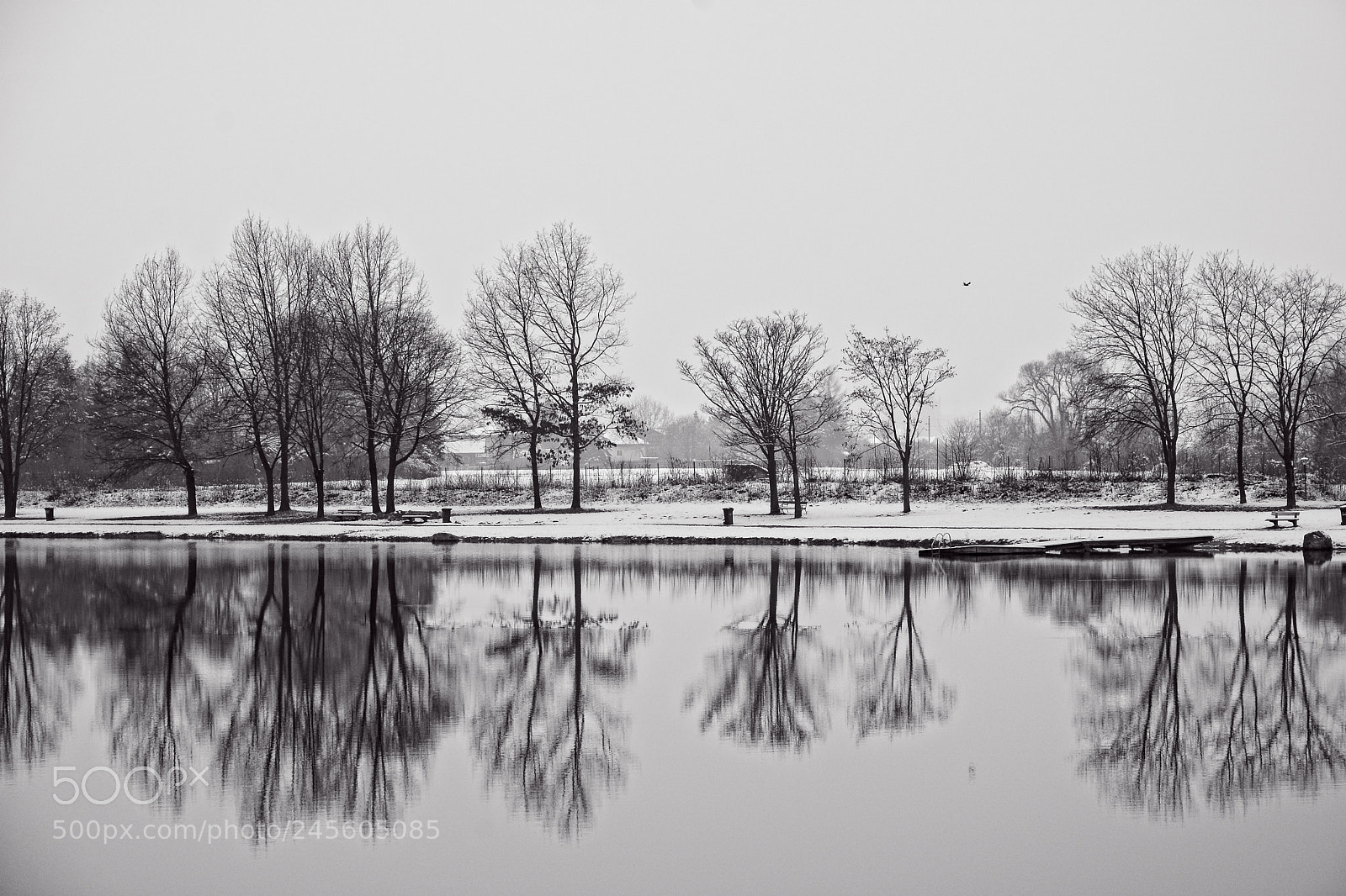 Nikon D7100 sample photo. Reflection photography