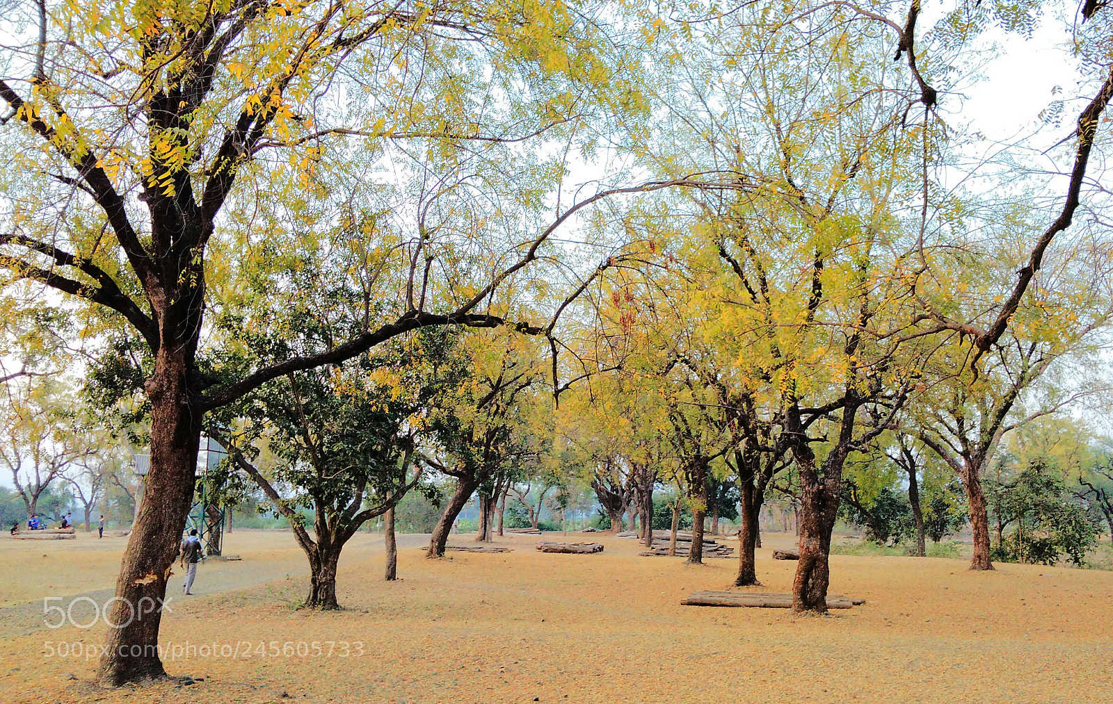 Xiaomi Redmi 4A sample photo. Untitled photography
