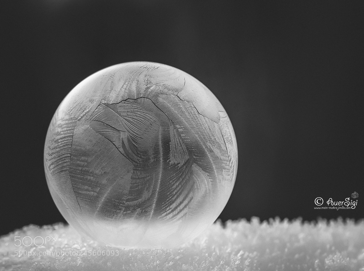 Olympus OM-D E-M1 Mark II sample photo. Olympus omd e-m1 mark photography