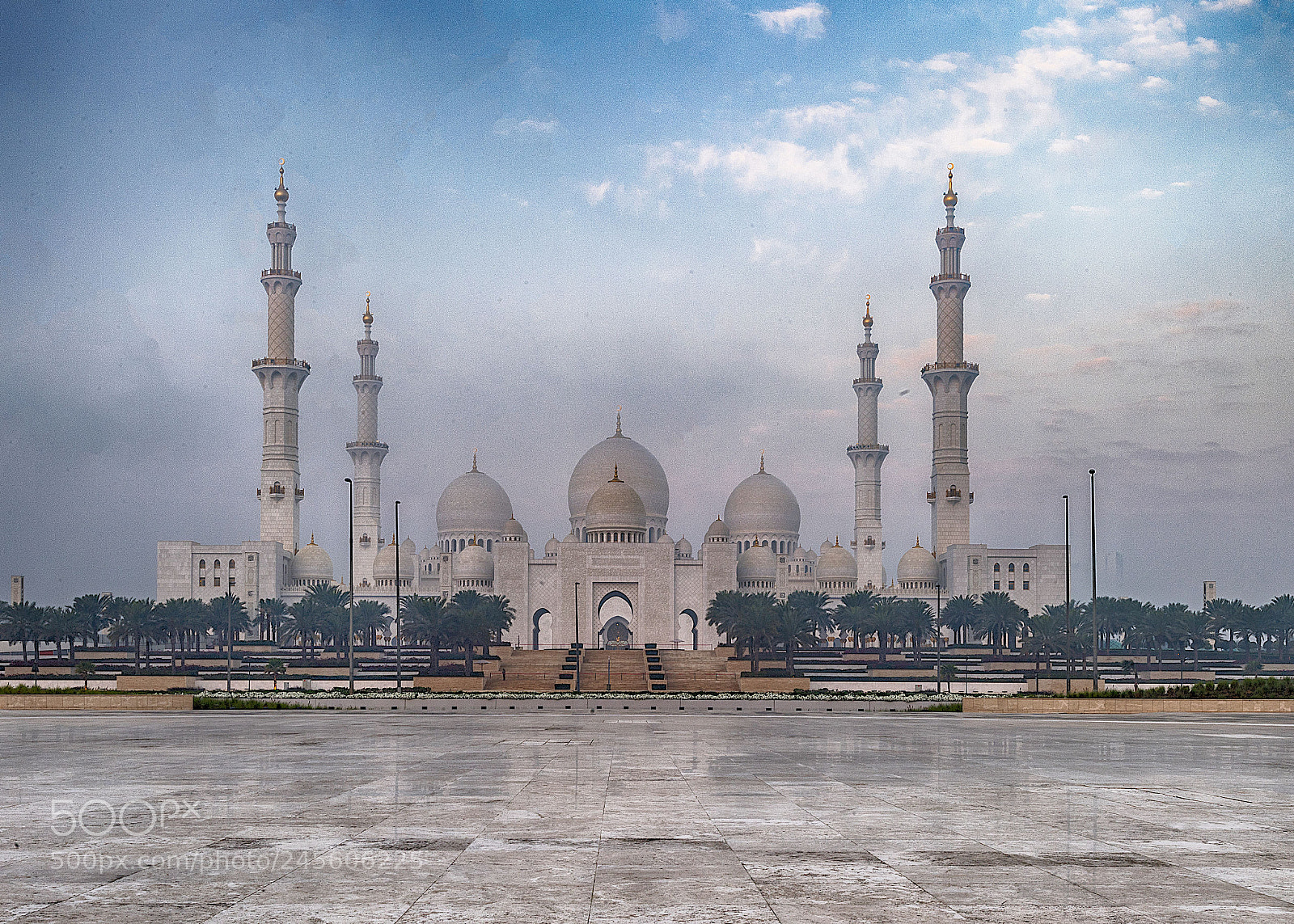 Nikon D5 sample photo. Morning at the grand photography
