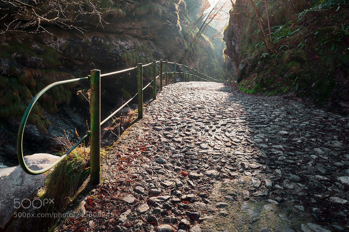 Nikon D700 sample photo. Valle vertova photography