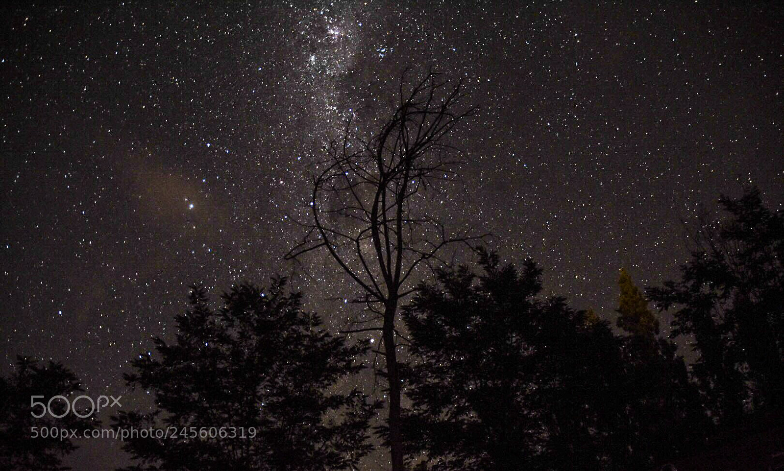 Nikon D7200 sample photo. La noche en que photography