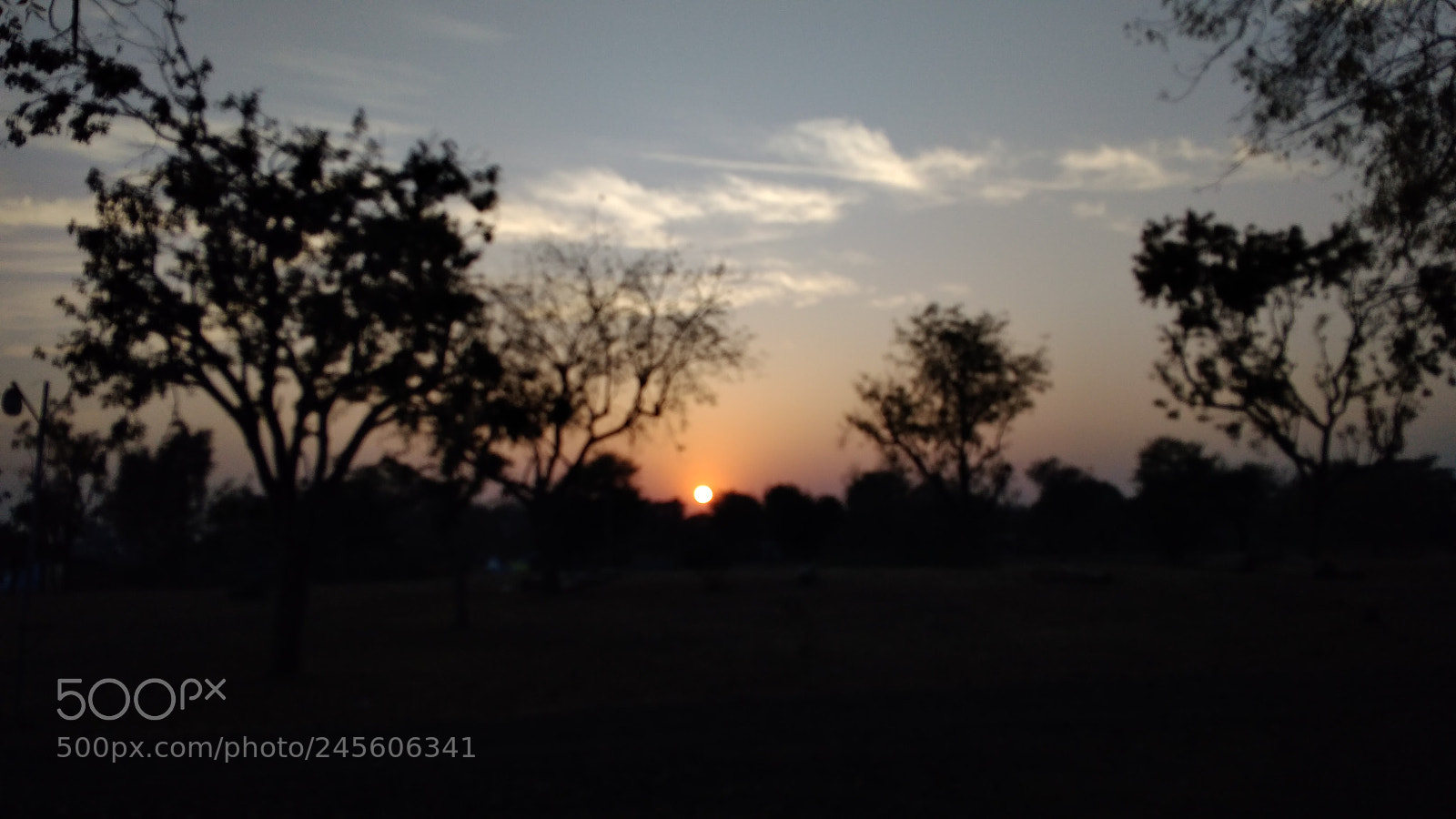 Xiaomi Redmi 4A sample photo. Untitled photography