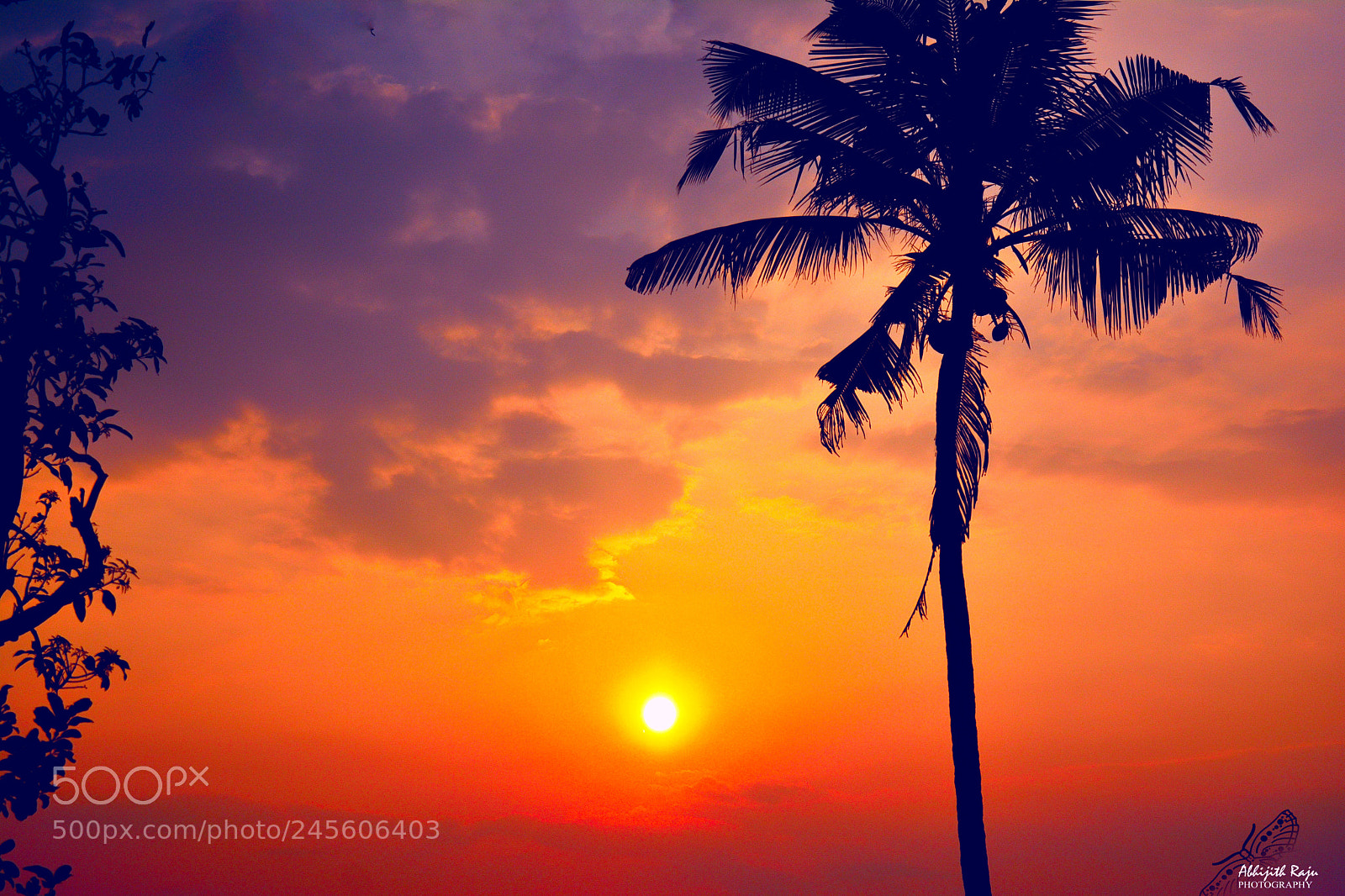 Nikon D5200 sample photo. The red sky photography