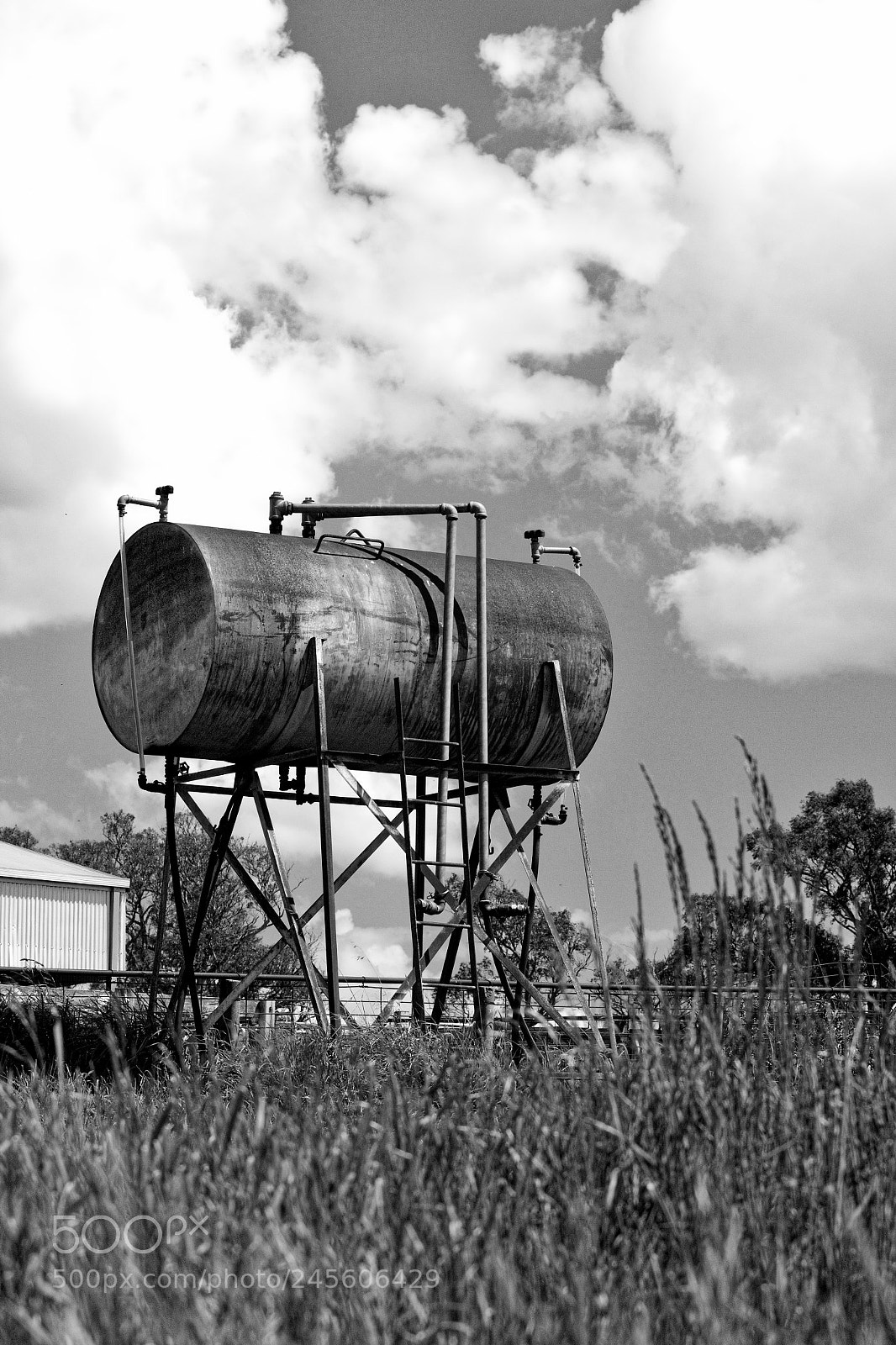 Canon EOS 550D (EOS Rebel T2i / EOS Kiss X4) sample photo. The tank photography
