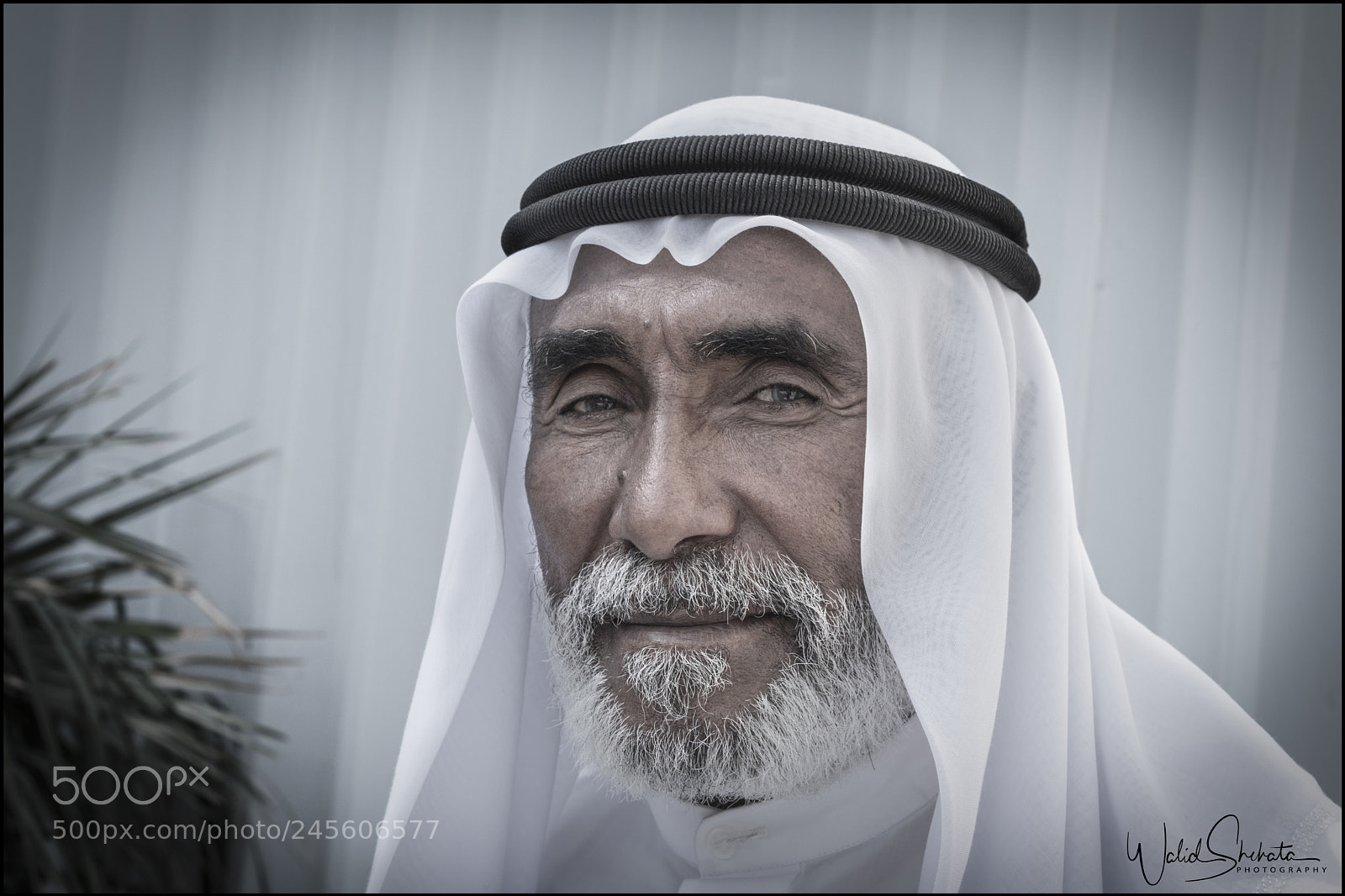 Nikon D5500 sample photo. Old man photography