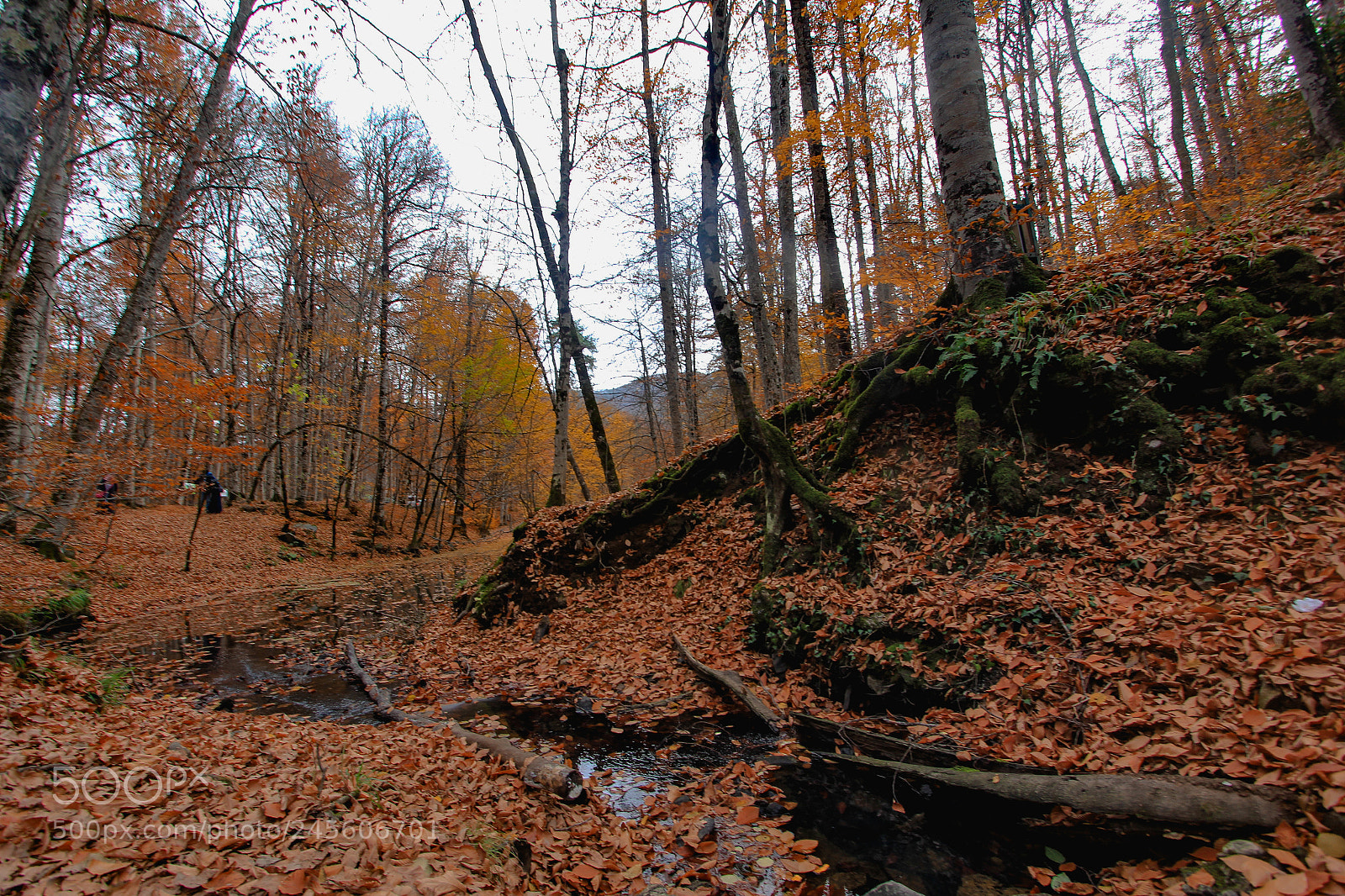 Canon EOS 60D sample photo. Yedigöller photography