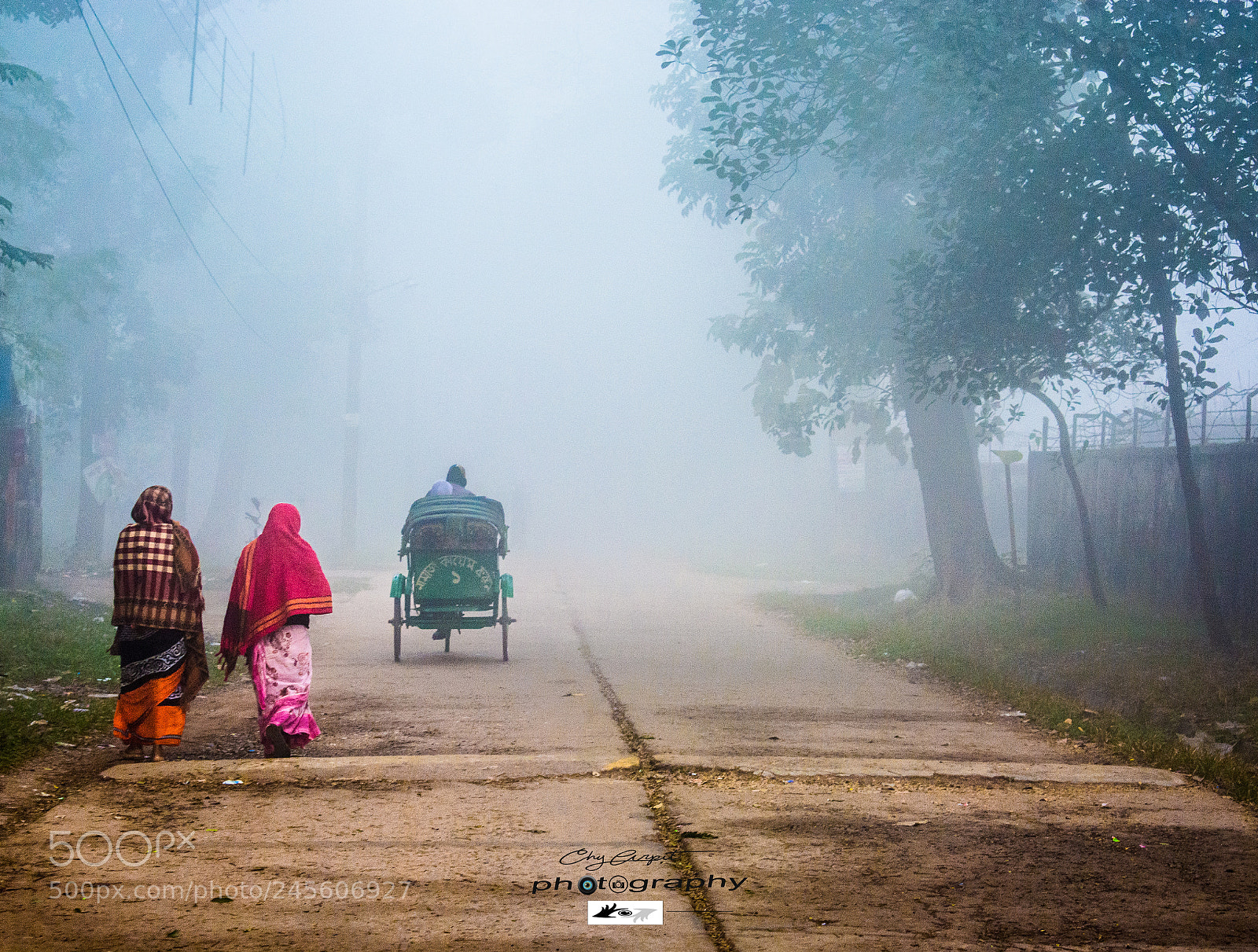 Nikon D5200 sample photo. Foggy morning photography