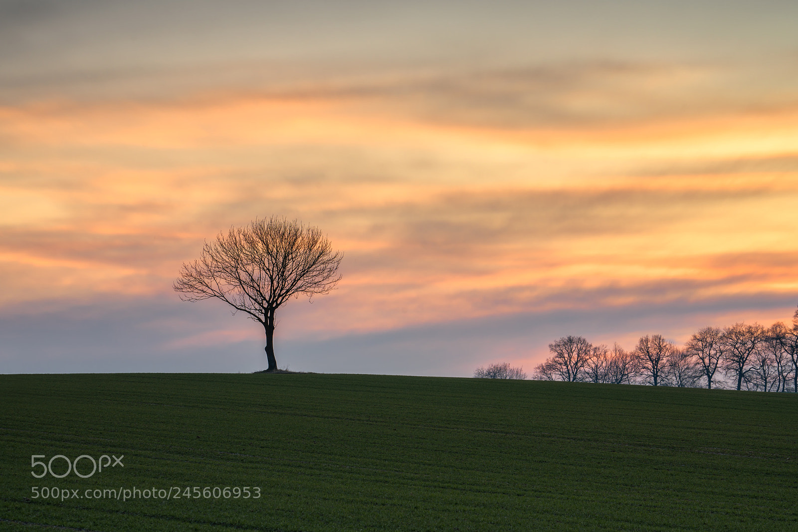 Sony a7R III sample photo. Somewhere in bavaria photography