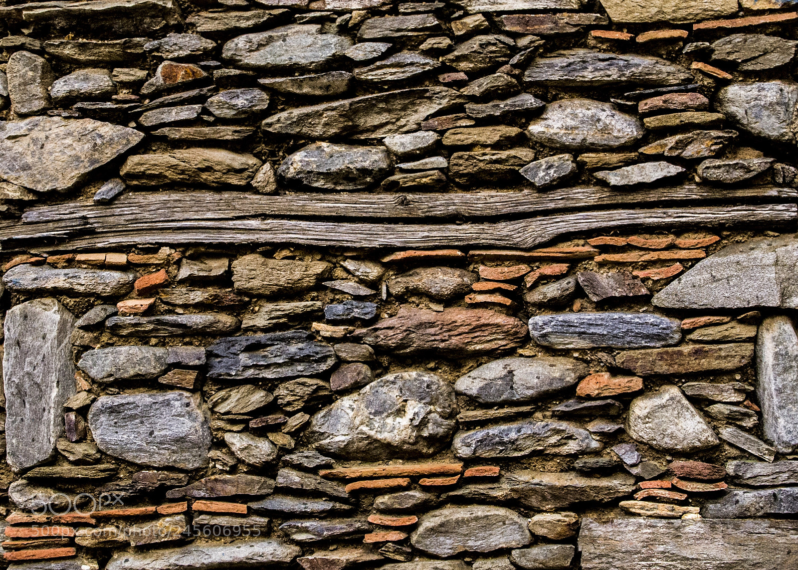 Nikon D3100 sample photo. Güzeller photography