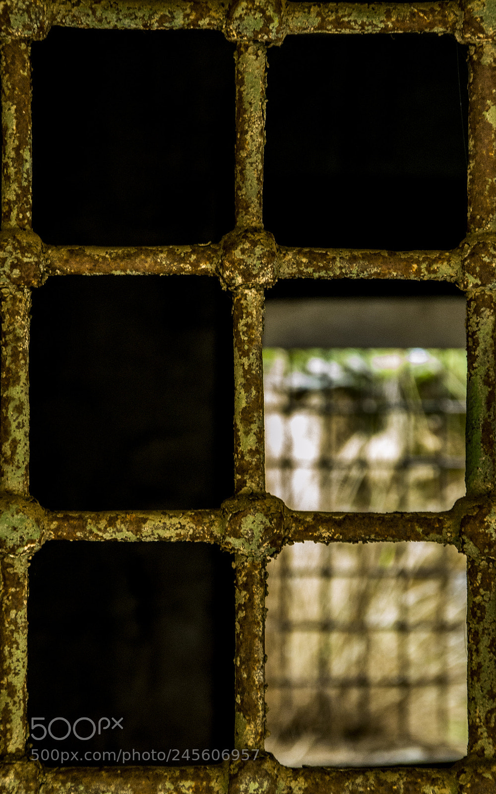 Nikon D3100 sample photo. Güzeller photography