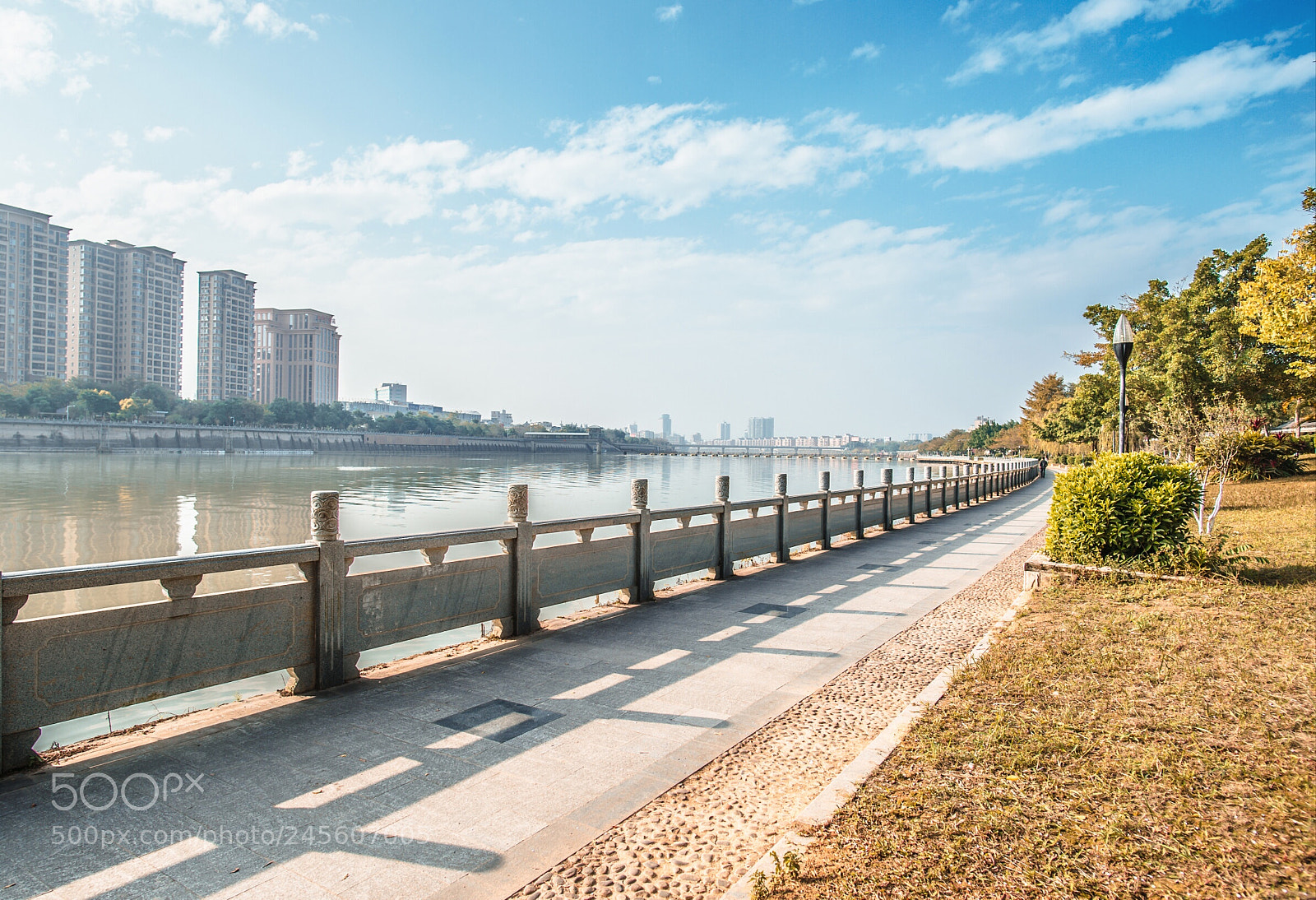 Nikon Df sample photo. 阳光明媚的下午 photography