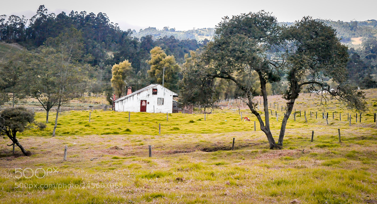 Nikon D90 sample photo. Landscape photography