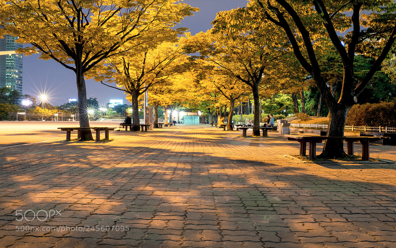 Nikon D610 sample photo. Untitled photography