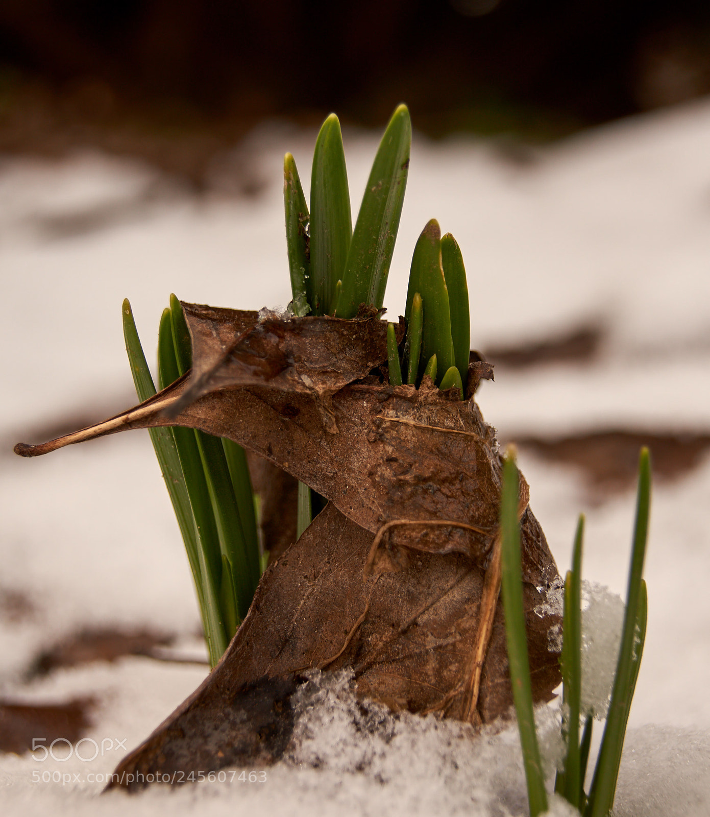 Sony SLT-A65 (SLT-A65V) sample photo. Breakthrough 2 photography