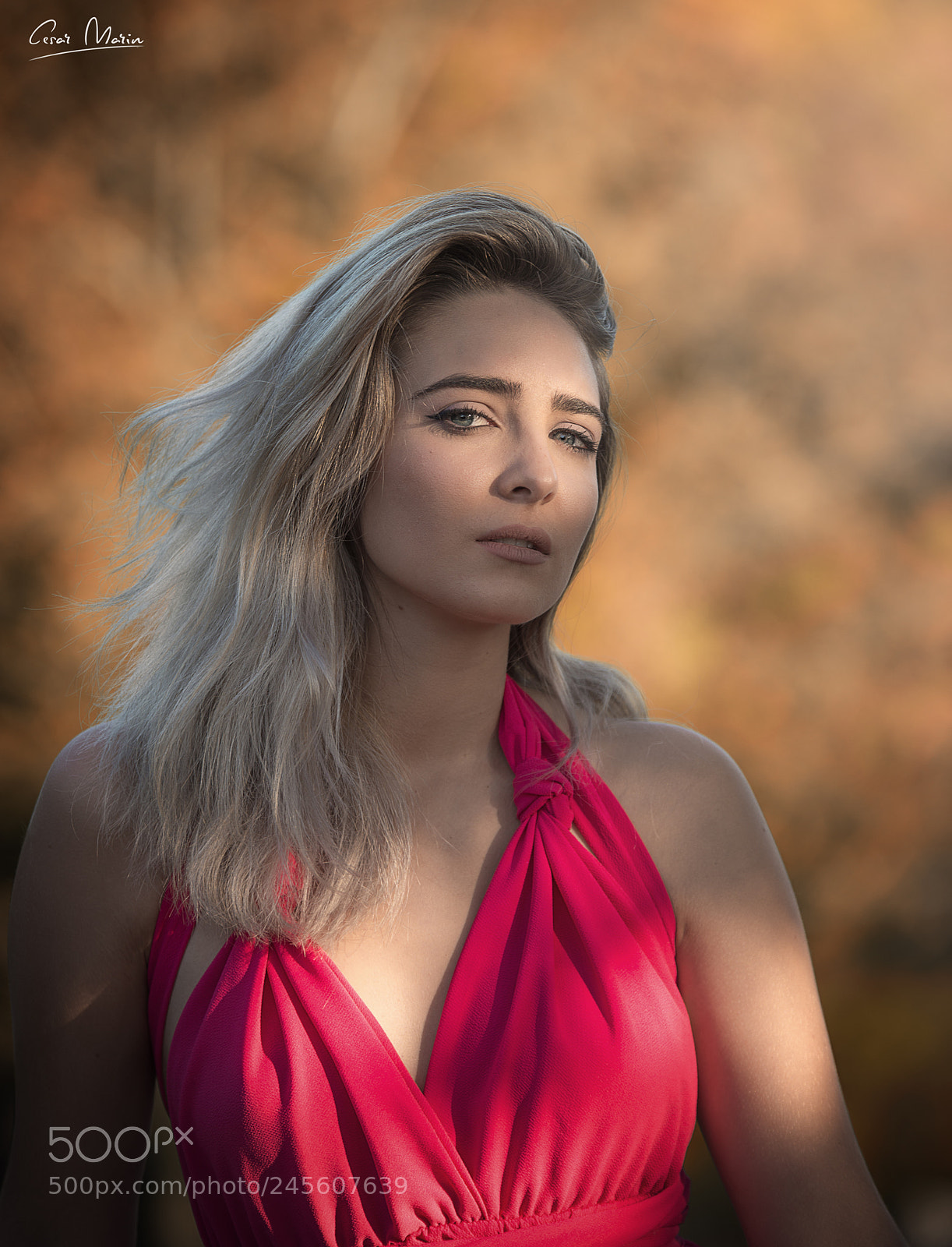Nikon D800 sample photo. Carlota photography
