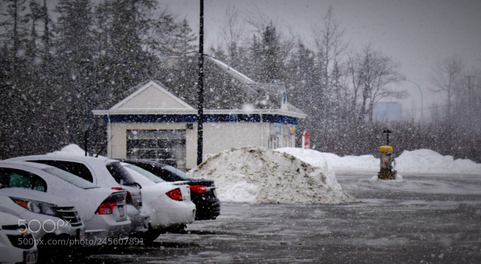 Nikon D3400 sample photo. Neige encore photography