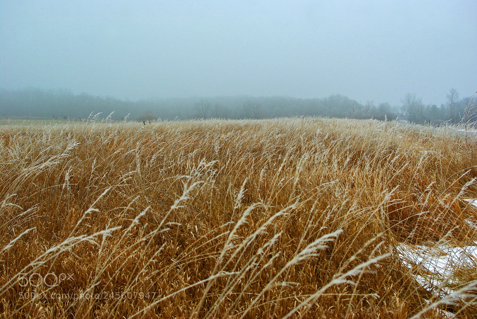 Pentax K200D sample photo. Frozen praire photography