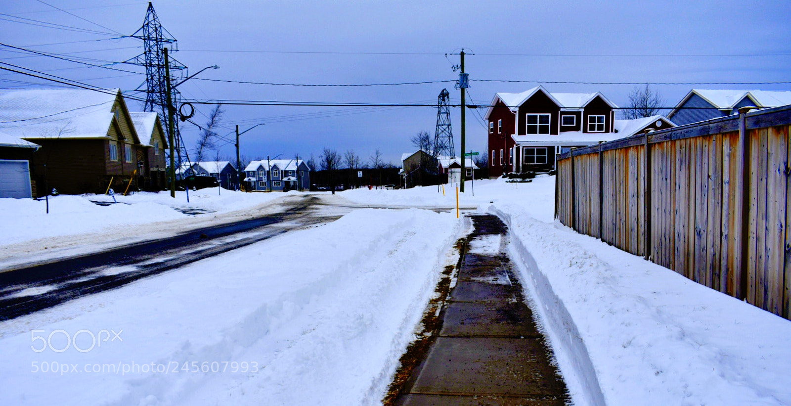 Nikon D3400 sample photo. Walking photography