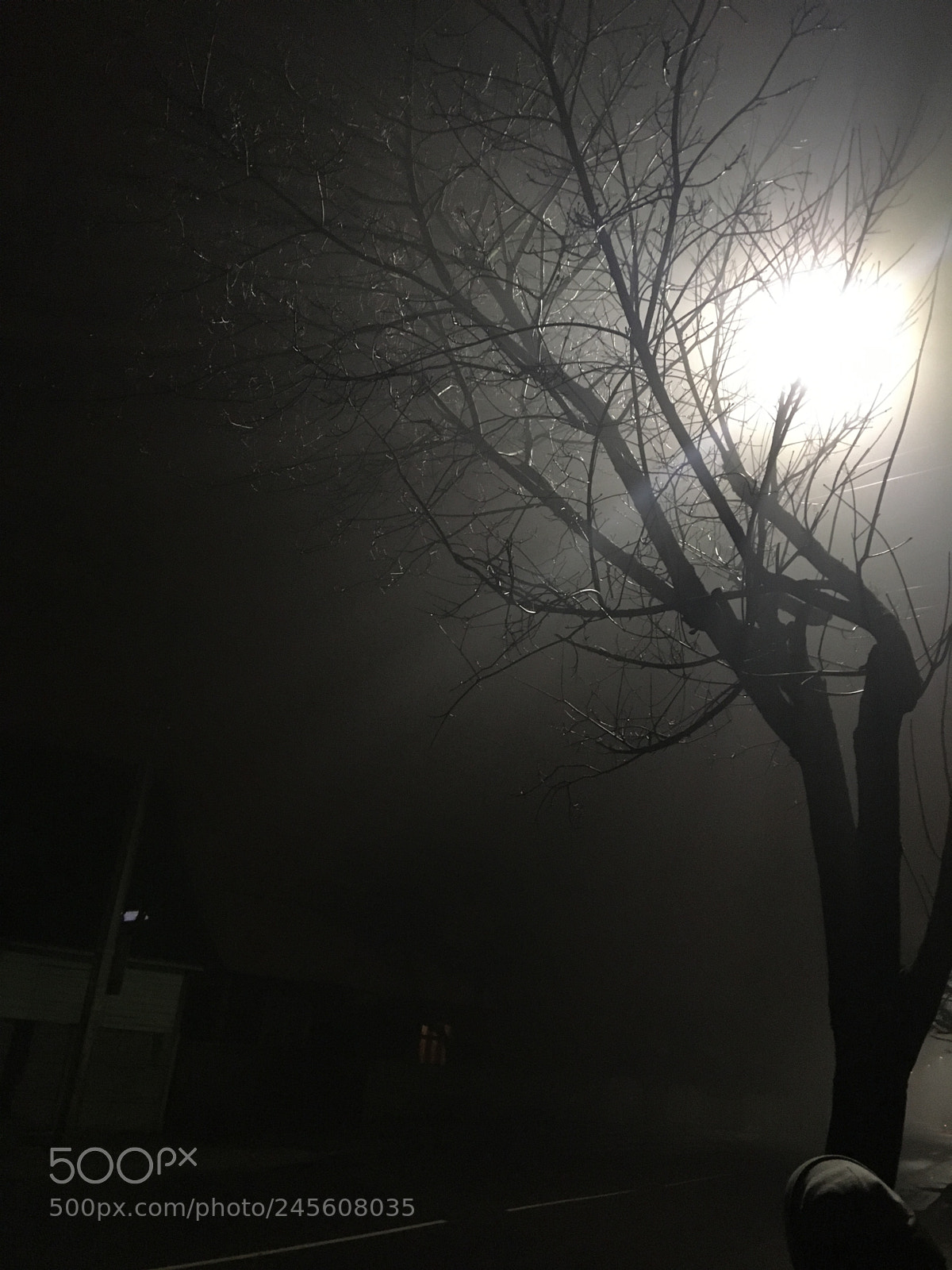 Apple iPhone SE sample photo. Untitled photography