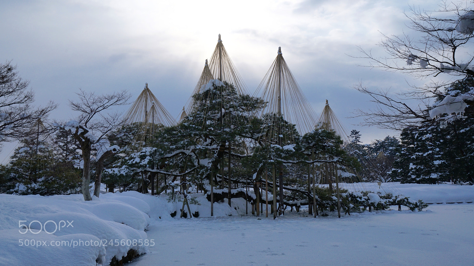Sony a7R II sample photo. Snow garden photography