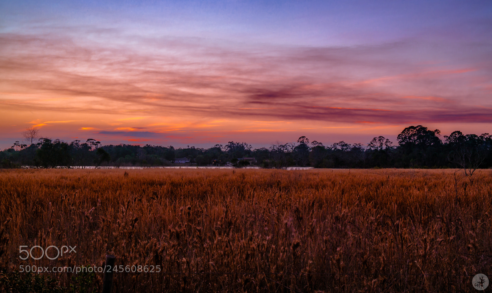 Samsung NX30 sample photo. Talmadge gardens road photography