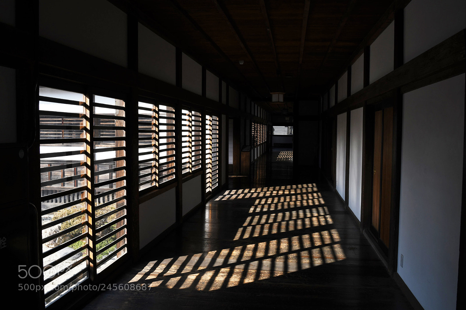 Nikon D500 sample photo. A latticed window photography