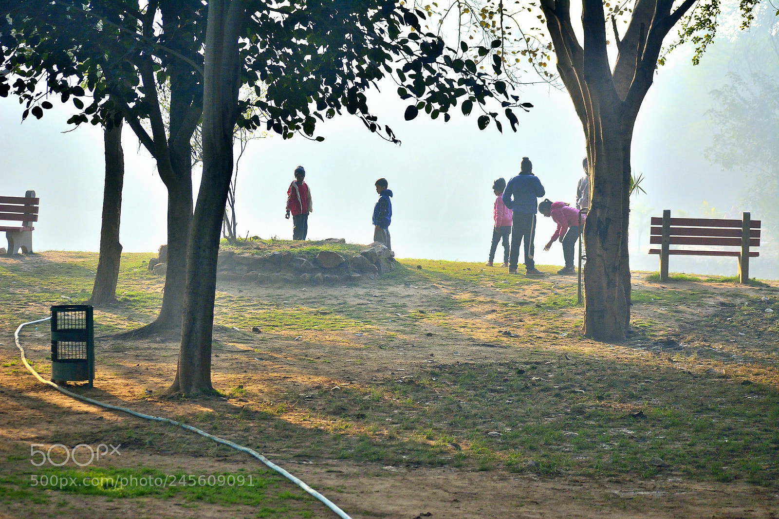 Nikon D5200 sample photo. Assortment of people,trees and photography