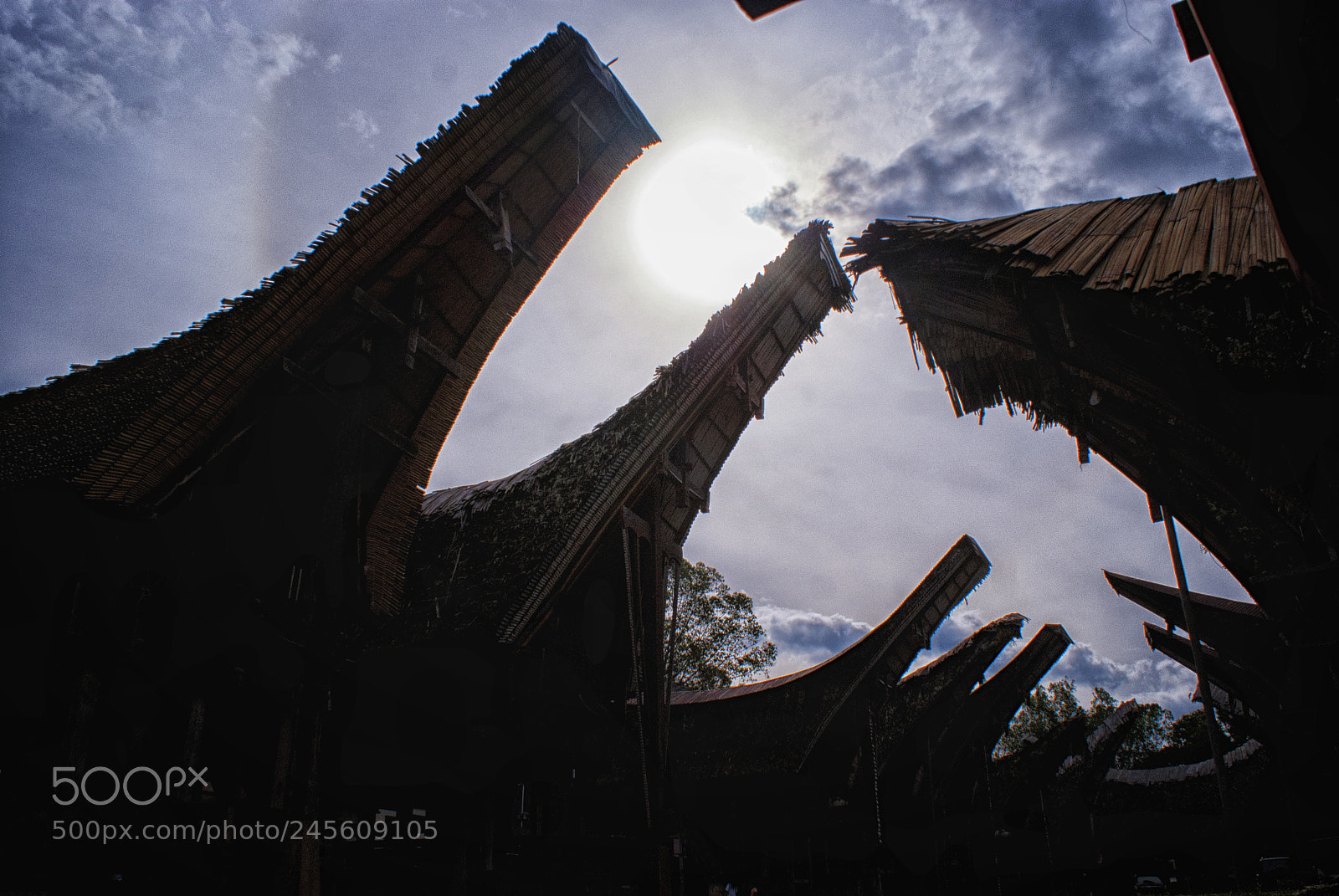 Sony Alpha DSLR-A200 sample photo. Tongkonan toraja in silhouette photography