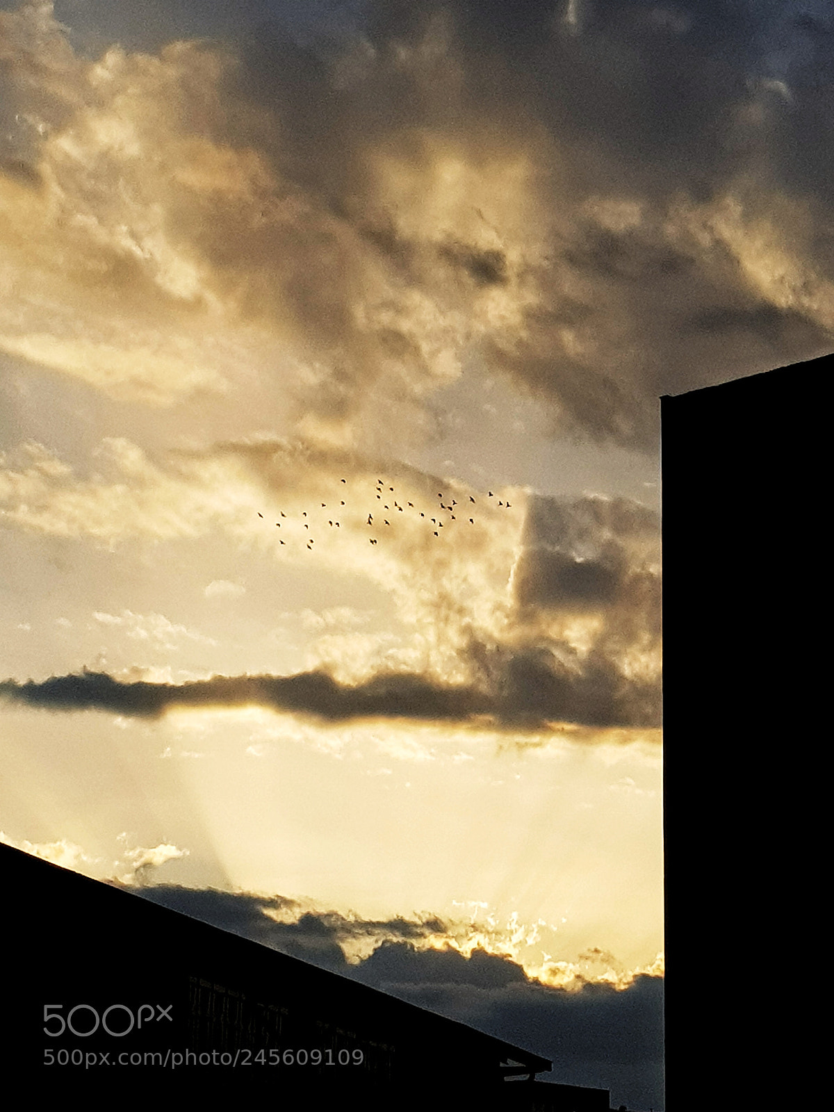 Samsung Galaxy S8 sample photo. Sunset photography