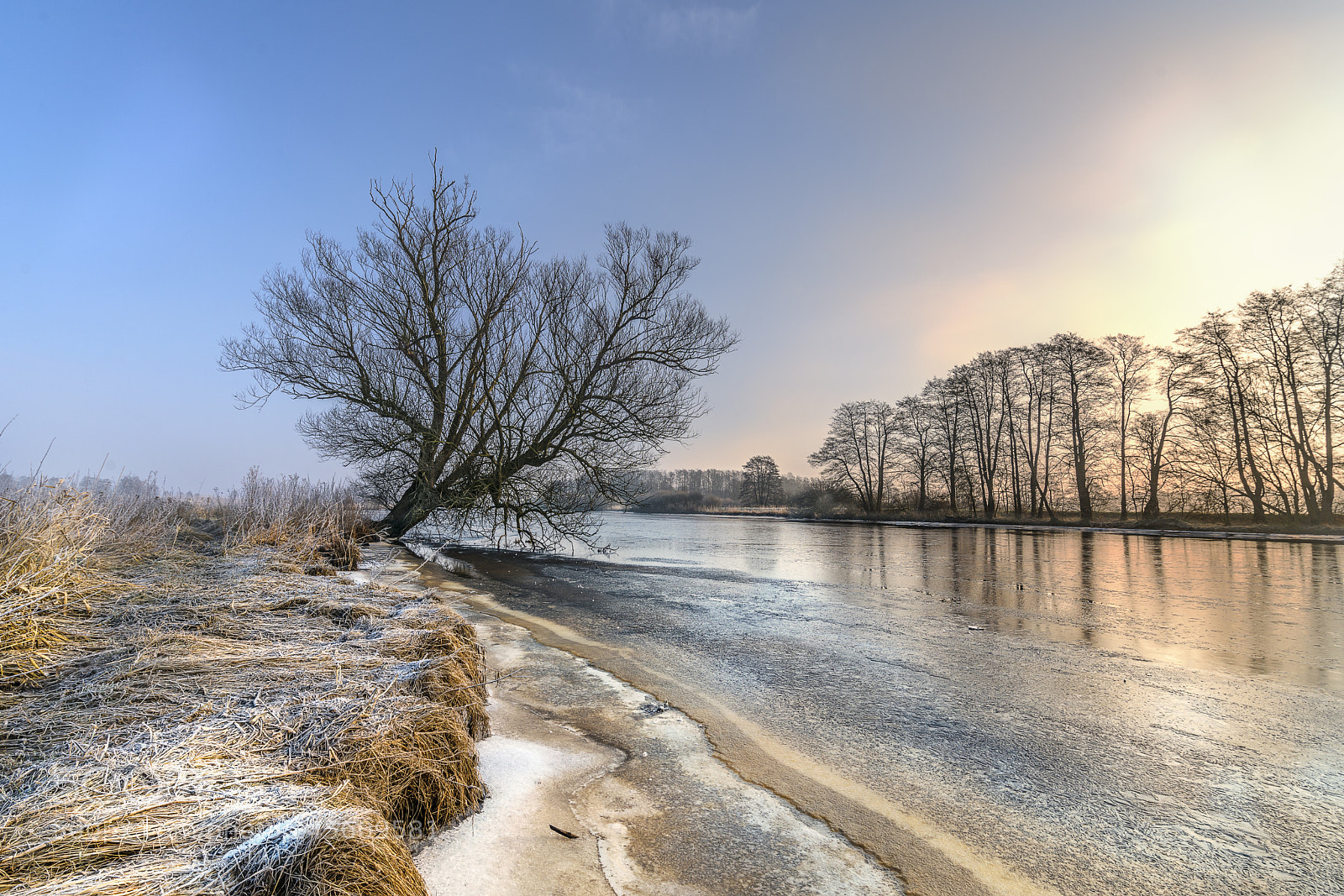 Sony a7R II sample photo. Iceage photography