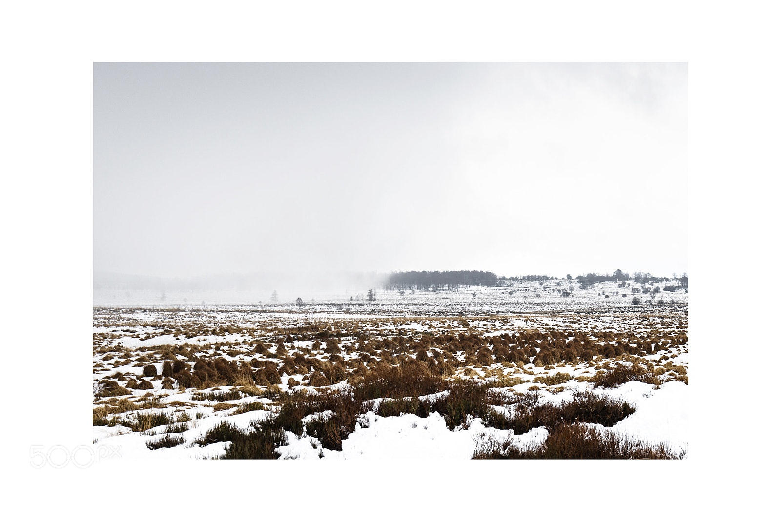 Nikon D600 sample photo. High fens photography