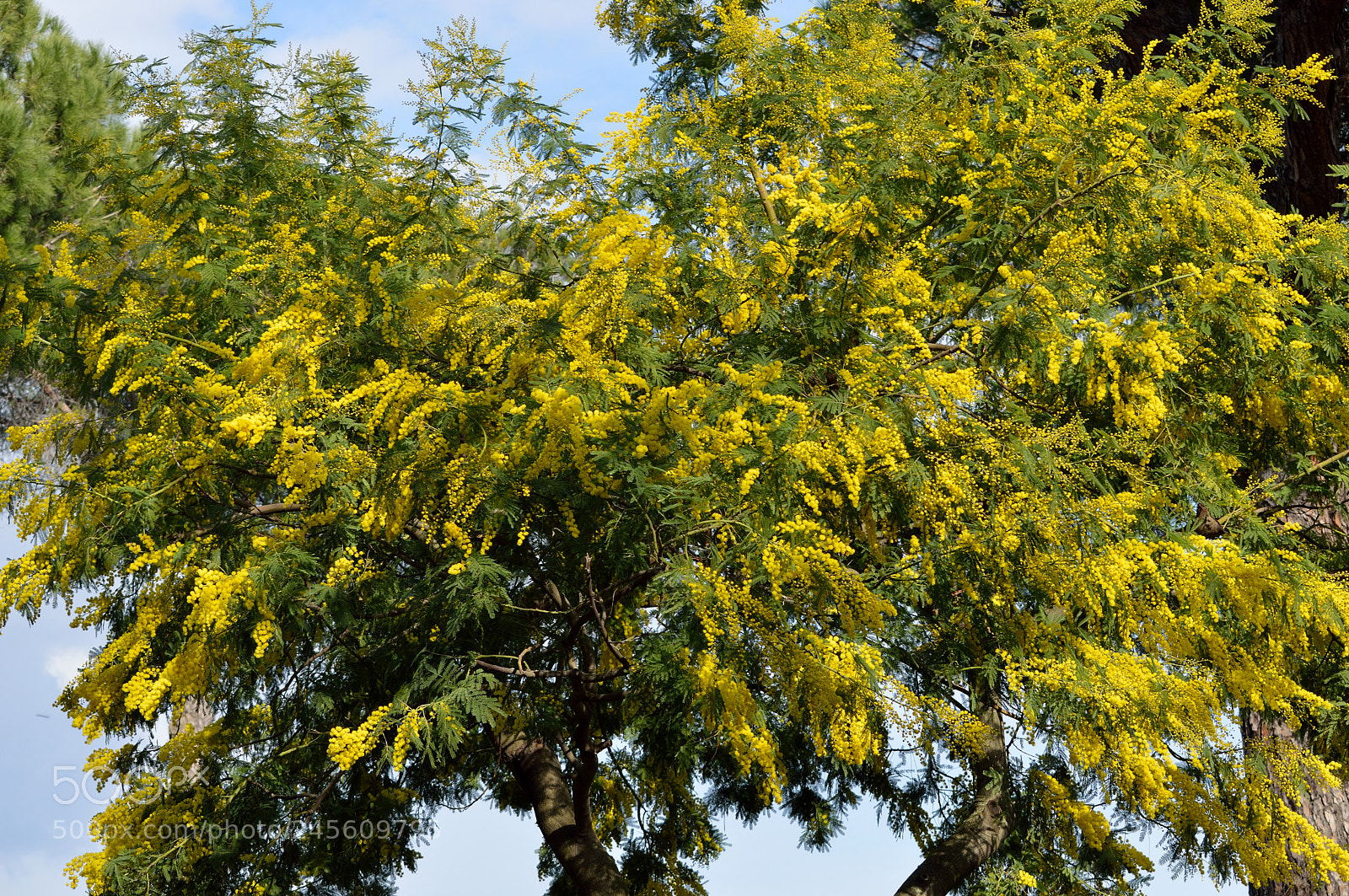 Nikon D3200 sample photo. It is not spring photography