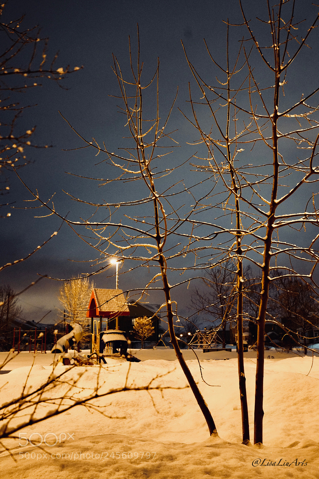 Sony a7R II sample photo. Untitled photography