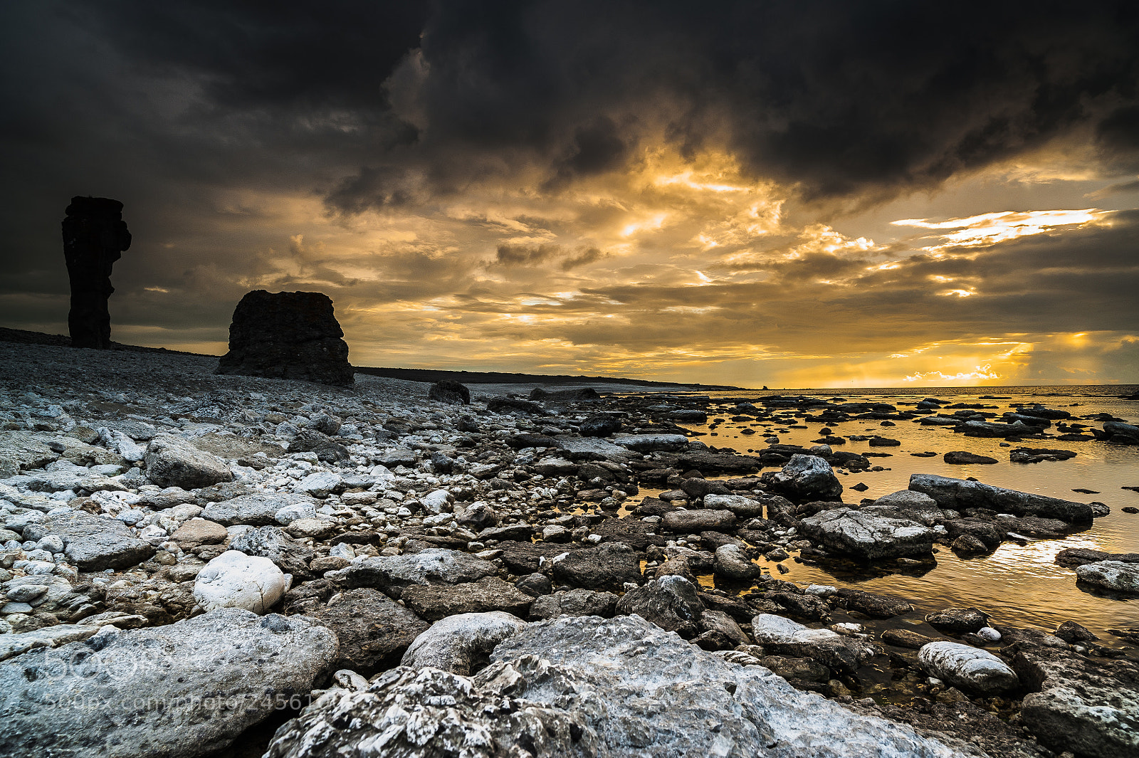 Nikon D700 sample photo. Mare aureum photography